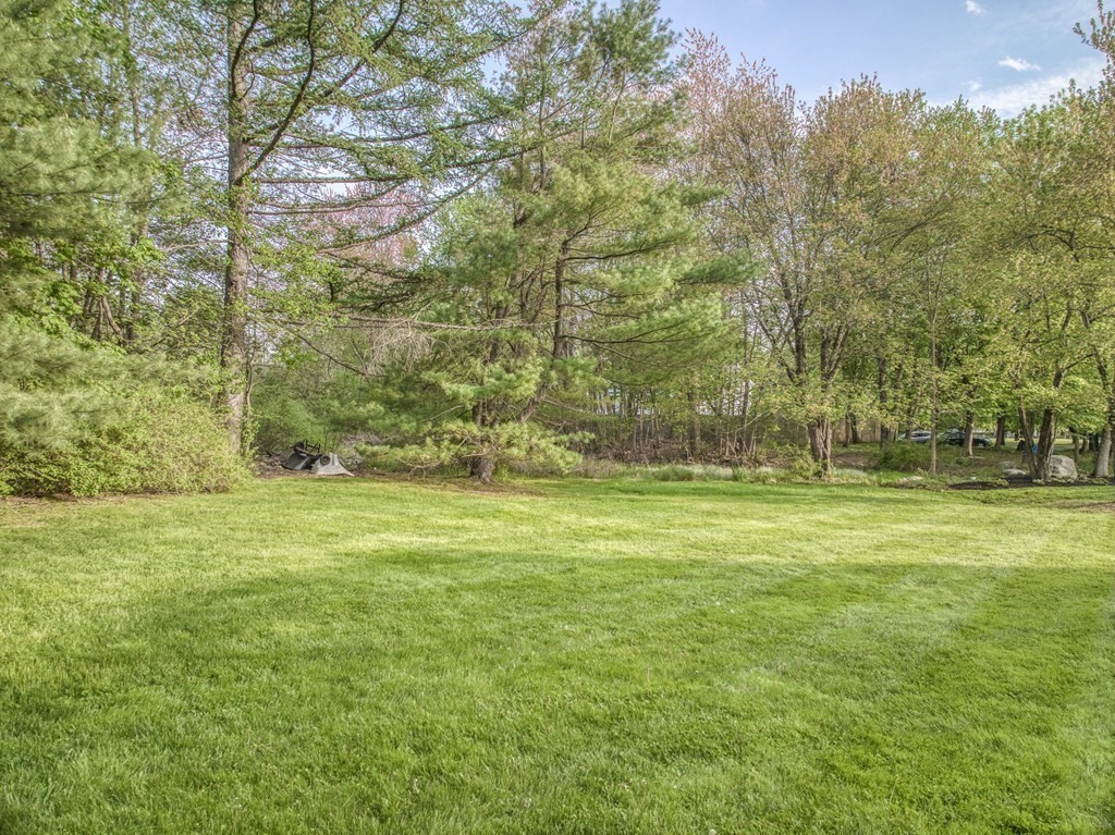 1 Radcliffe Circle Bedford, MA 01730 - Photo 35 of 42 a view of a field with trees