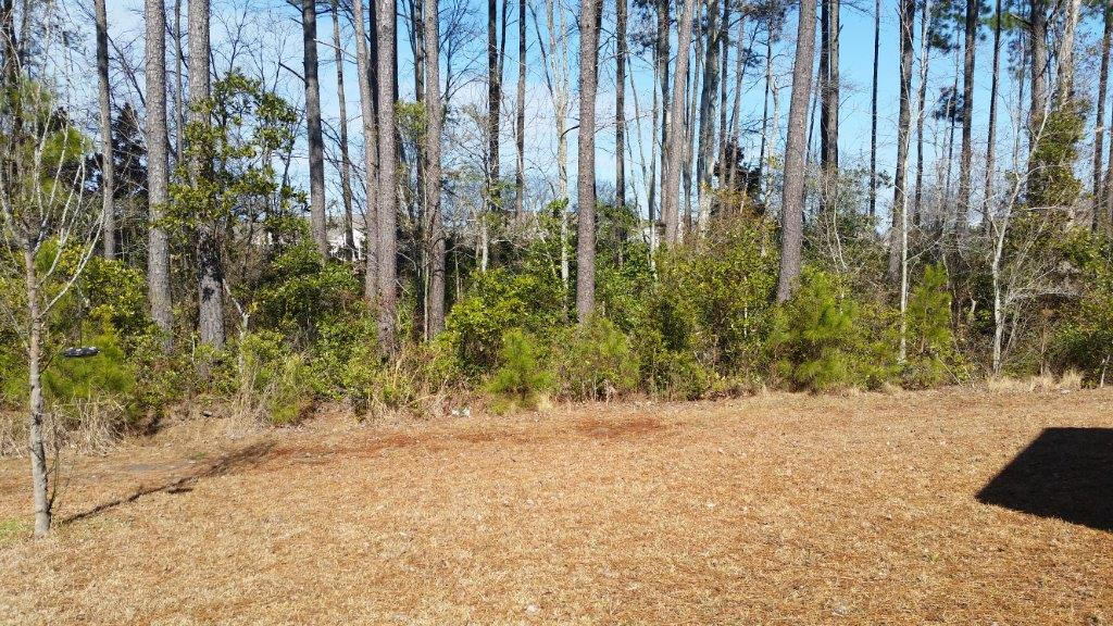 365 Decatur Drive Summerville, SC 29486 - Photo 22 of 24 20150205_132837