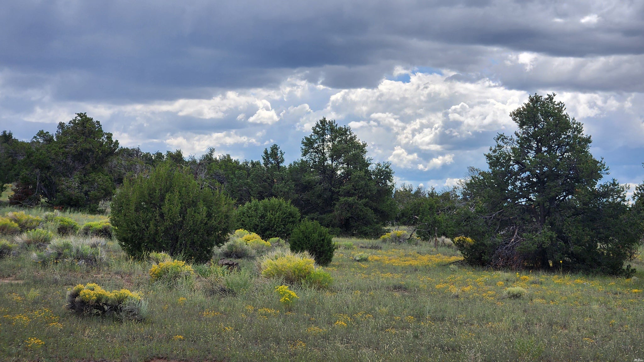 73 Tonto Pass Road Quemado, NM 87829 - Photo 1 of 10 Gallery Image 1
