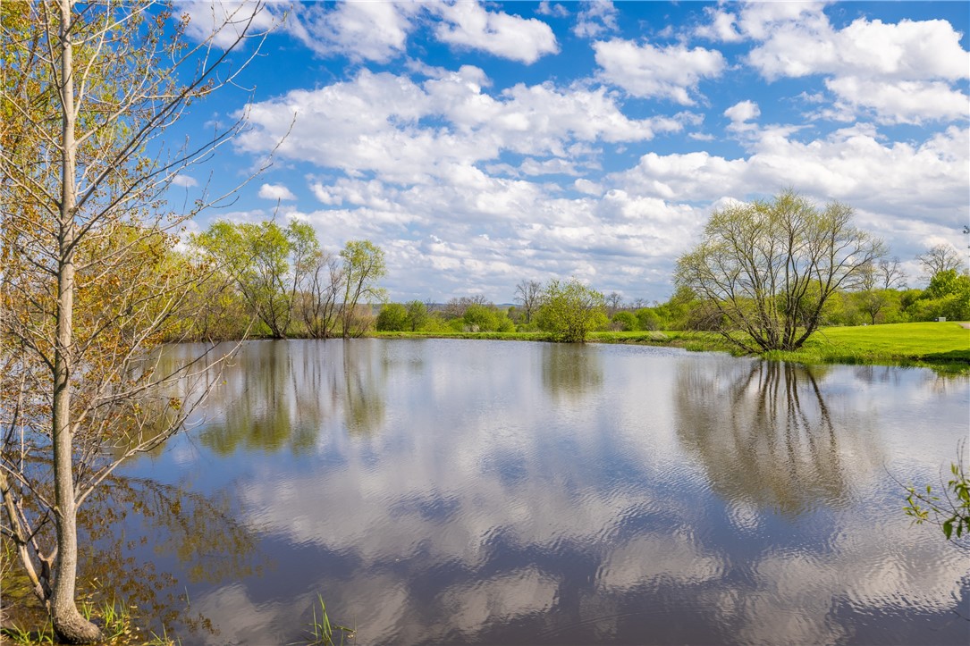 4128 River Road York, NY 14533 - Photo 7 of 50 AMAZING COUNTRY & POND VIEWS!