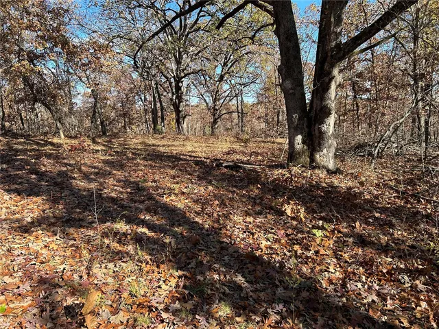 $67,000 | 0 Partridge 14.55 Acres, Climax Springs, MO 65324