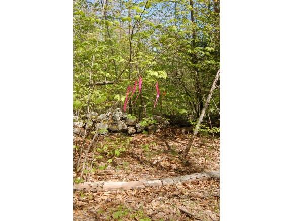 Old College Road Andover, NH 03216 - Photo 1 of 1