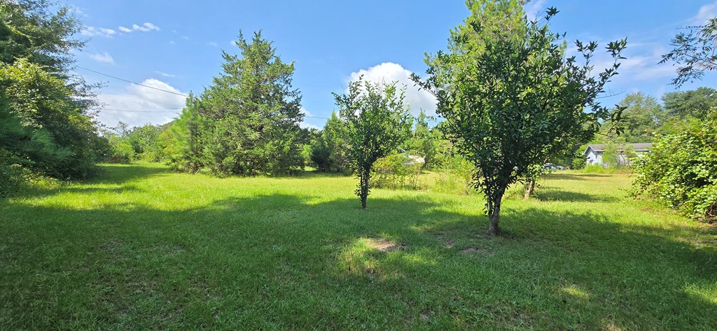 4739 Wallace Buie Road Columbia, AL 36319 - Photo 30 of 54