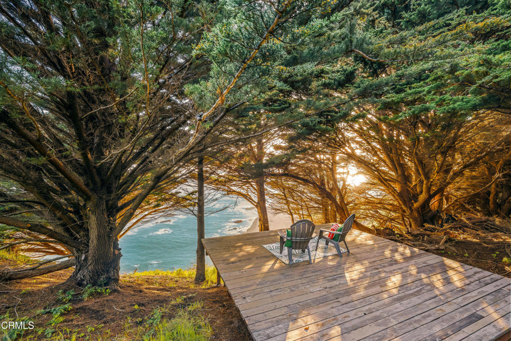 1990 Highway 1 Albion, CA 95410 - Photo 9 of 57 a view of backyard with wooden fence and large trees