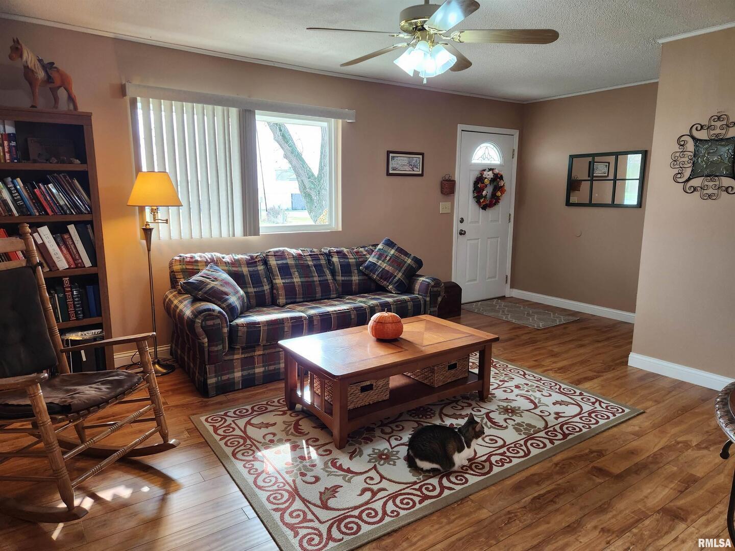 15766 East Tilton Road Ina, IL 62846 - Photo 6 of 59 a living room with furniture rug and window