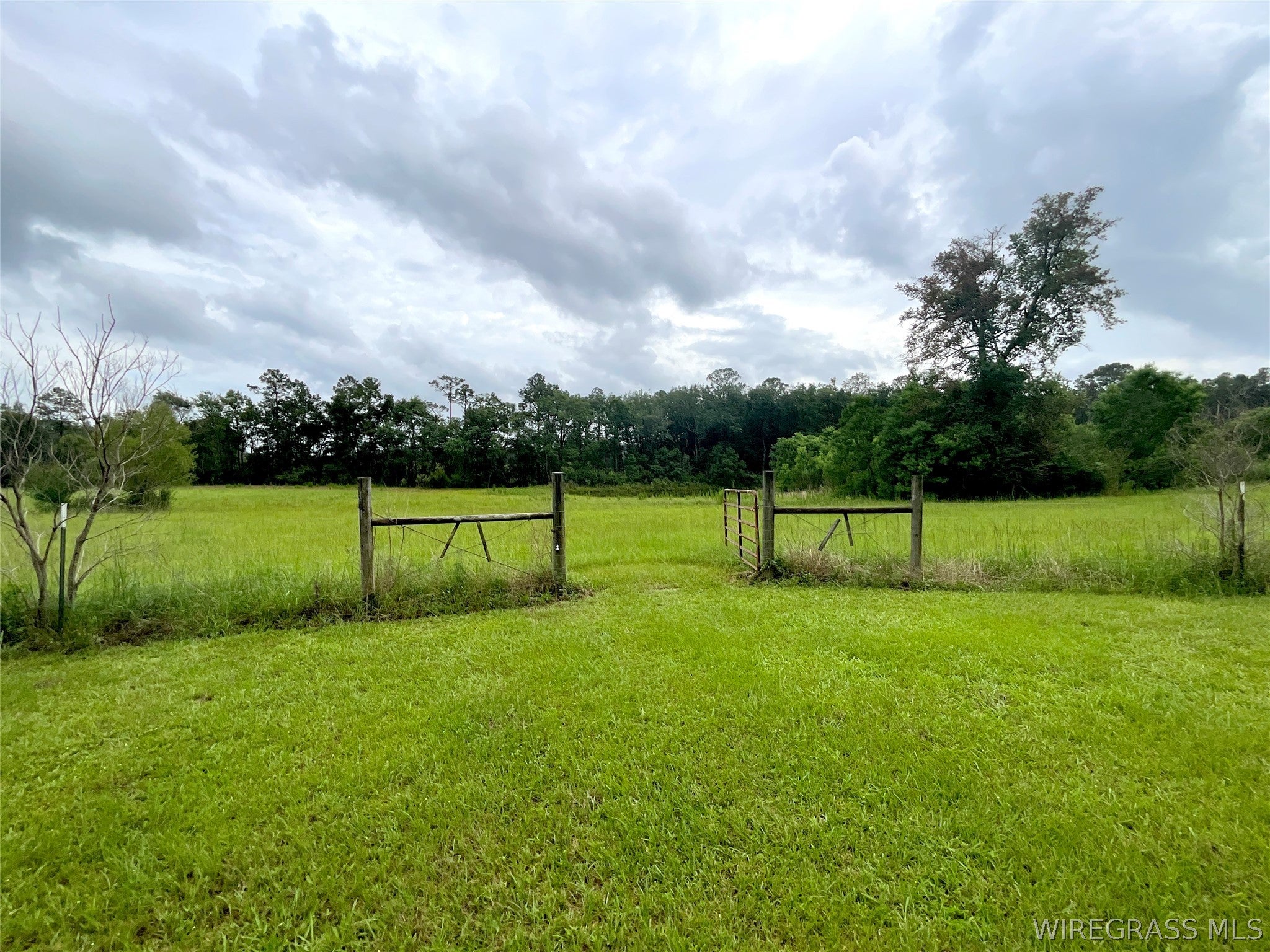 0 Smyrna Road Florala, AL 36442 - Photo 2 of 9 Gallery Image 2