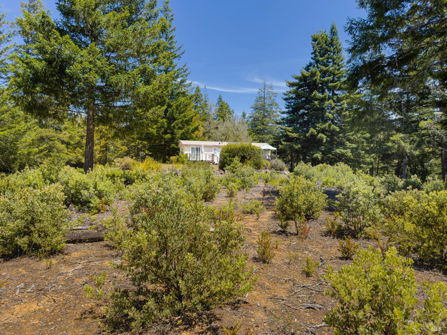 33482 Iversen Road Gualala, CA 95445 - Photo 5 of 14