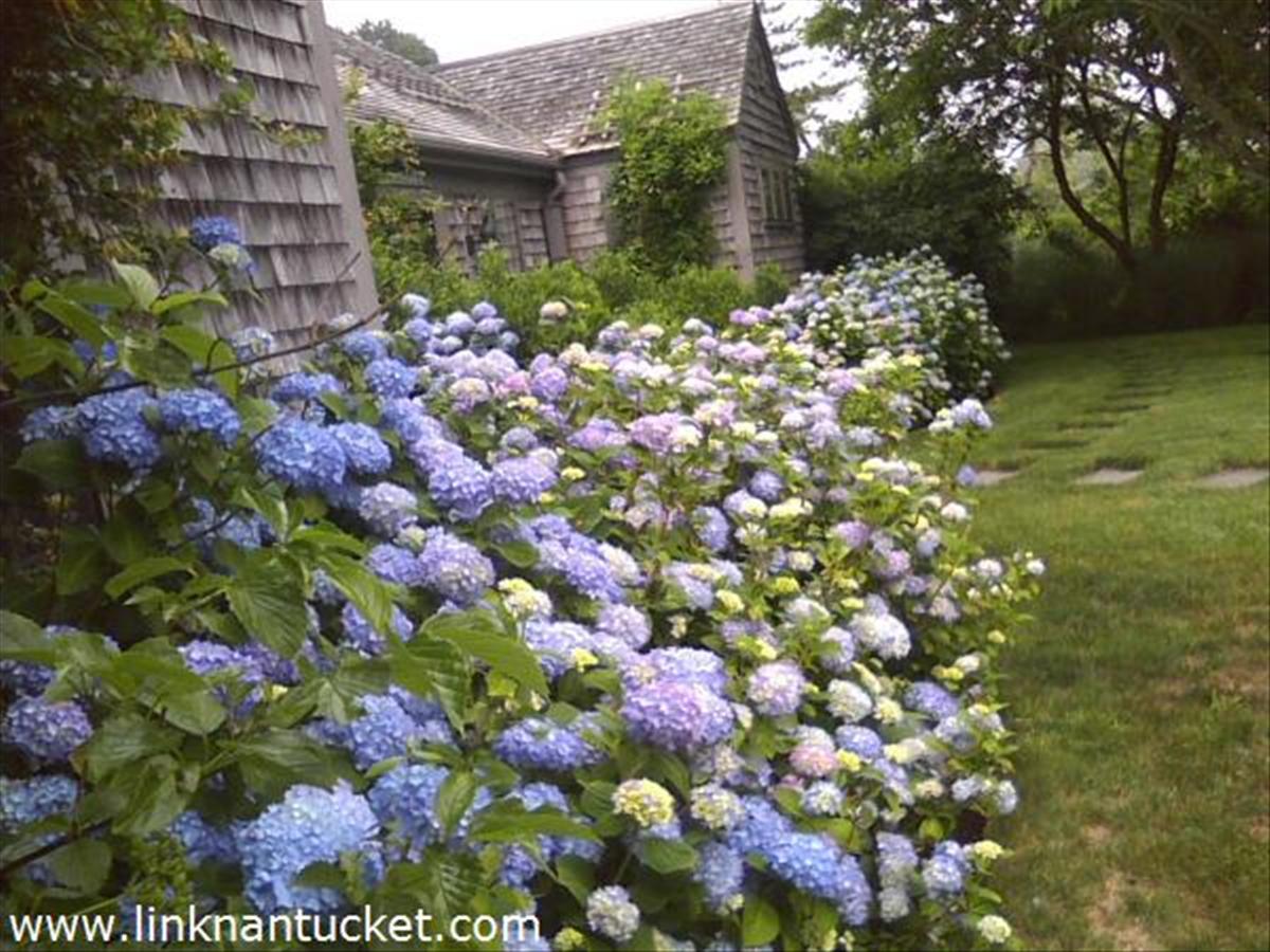 4 Moby Way Nantucket, MA 02554 - Photo 2 of 21 Gallery Image 2