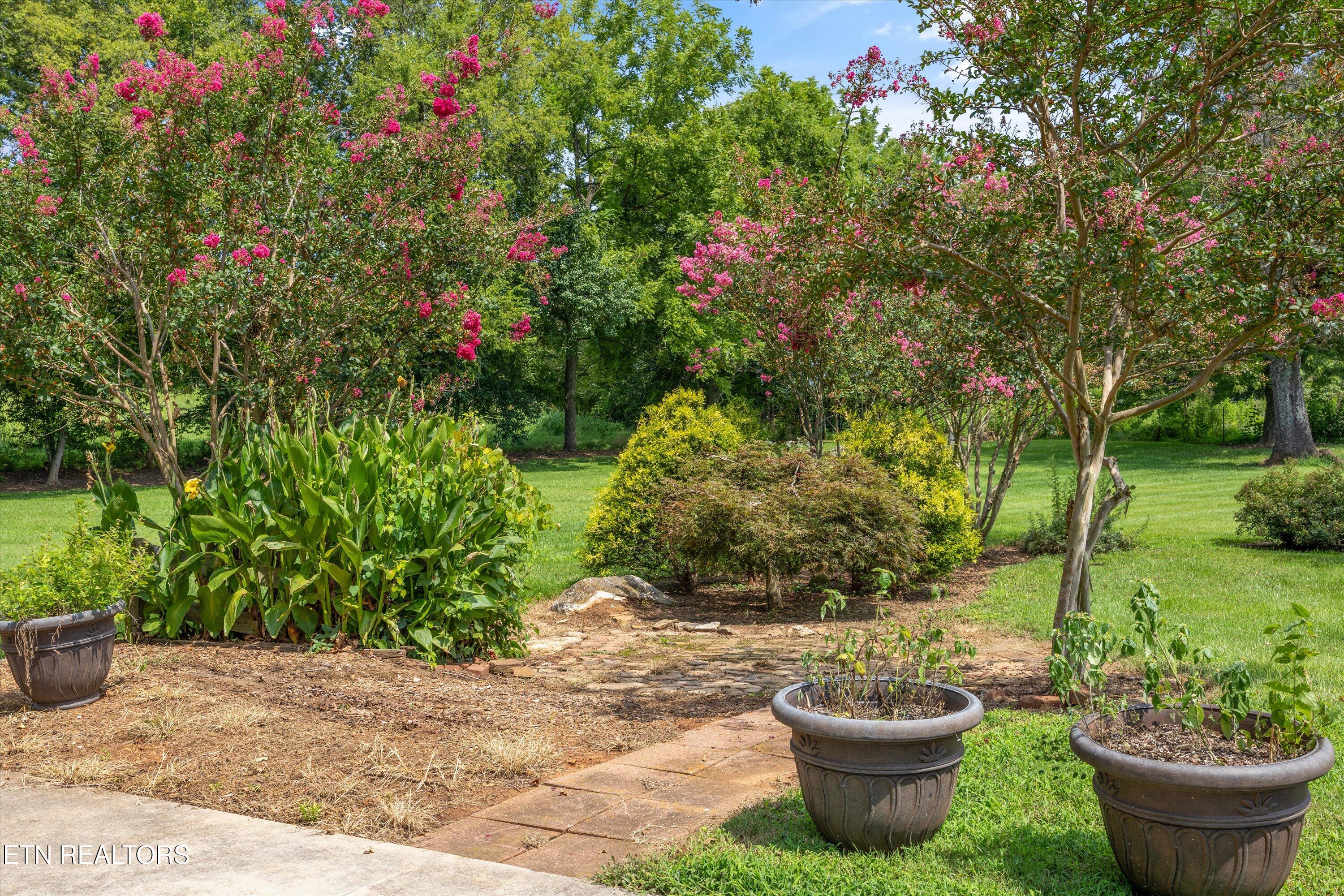 307 Burn Road Niota, TN 37826 - Photo 57 of 60 57-307 Burn Rd -21