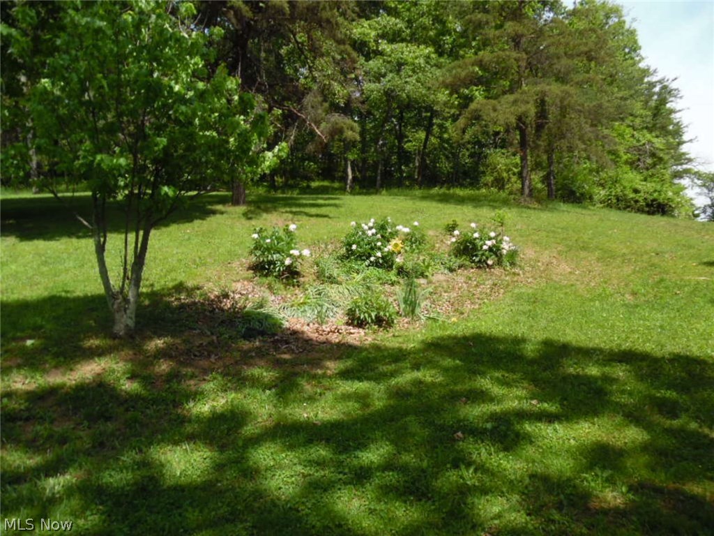 3573 Braun Road Belpre, OH 45714 - Photo 25 of 29 Landscaping in Yard