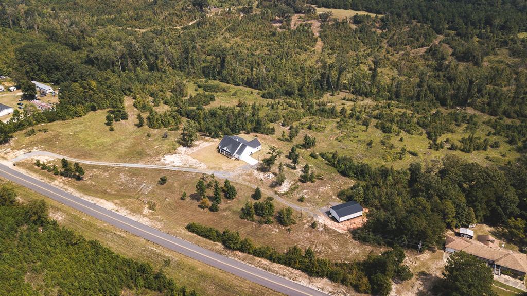 199 Battle Road Hurtsboro, AL 36860 - Photo 43 of 52 Aerial