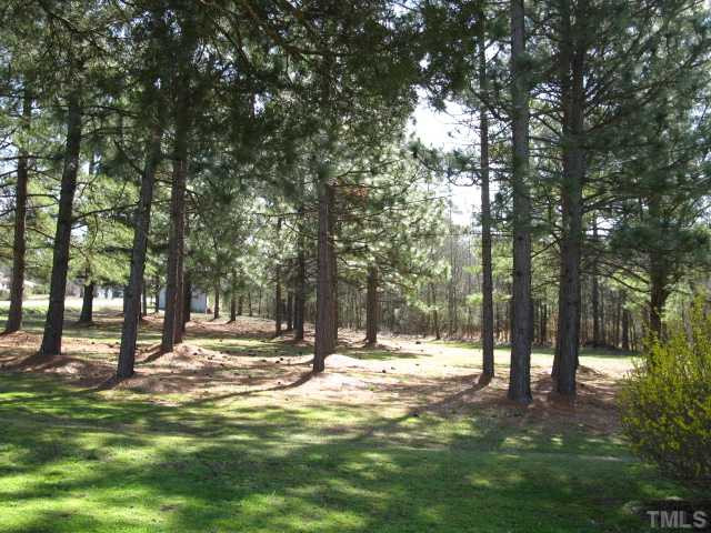 6516 Leesville Road Durham, NC 27703 - Photo 11 of 21 Land