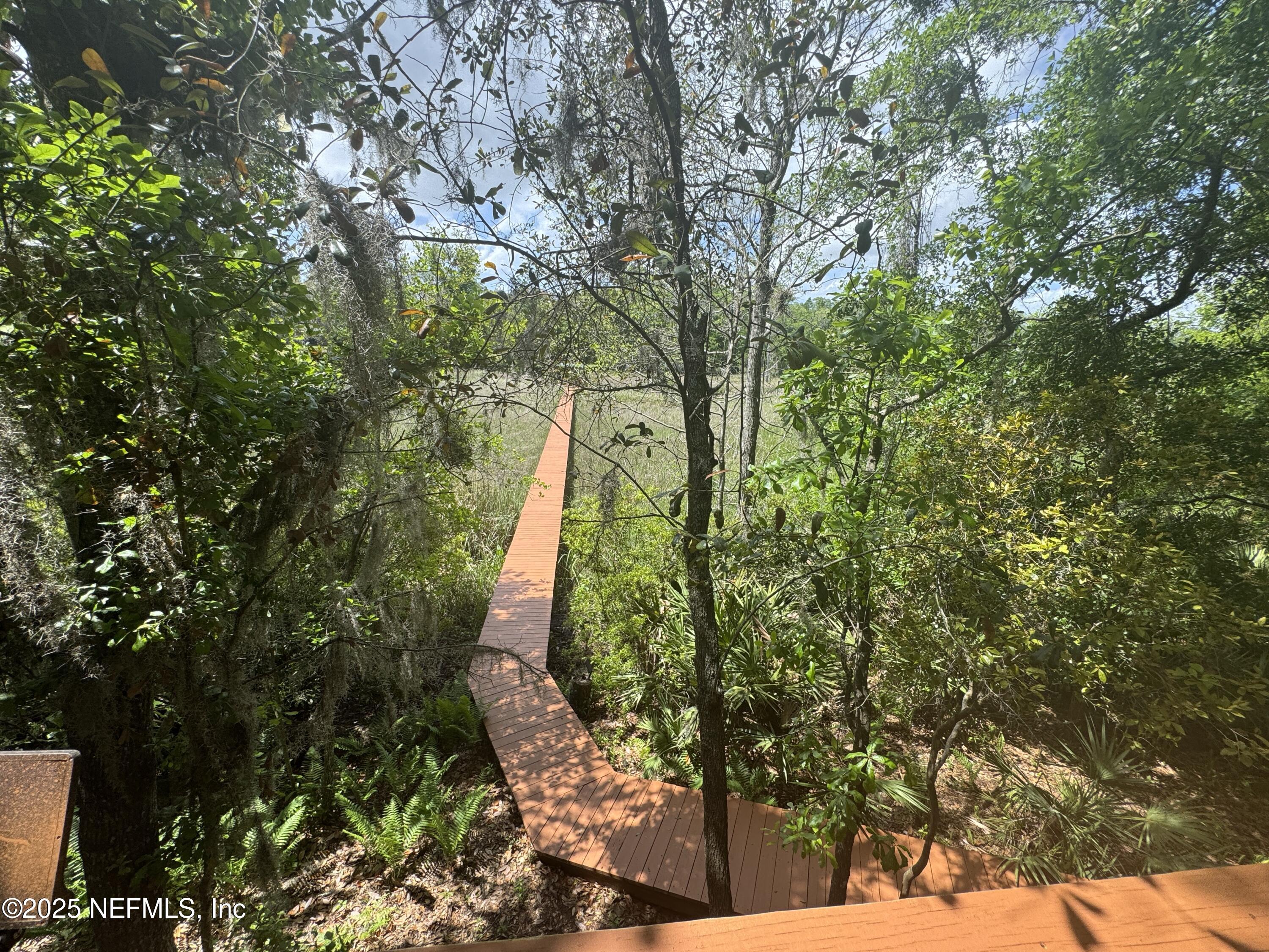 2924 Captiva Bluff Road South Jacksonville, FL 32226 - Photo 31 of 42 IMG_5494