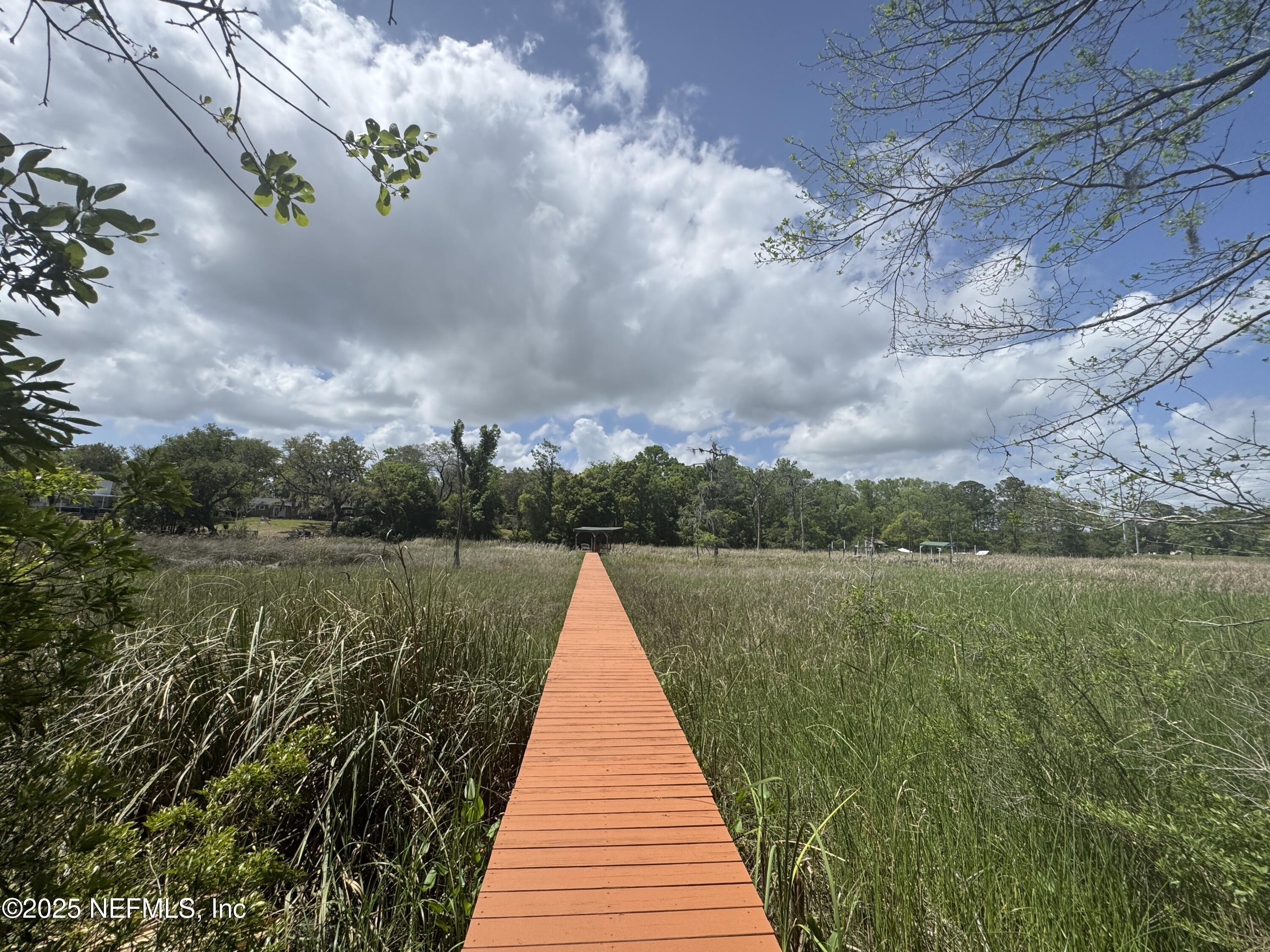 2924 Captiva Bluff Road South Jacksonville, FL 32226 - Photo 32 of 42 IMG_5496