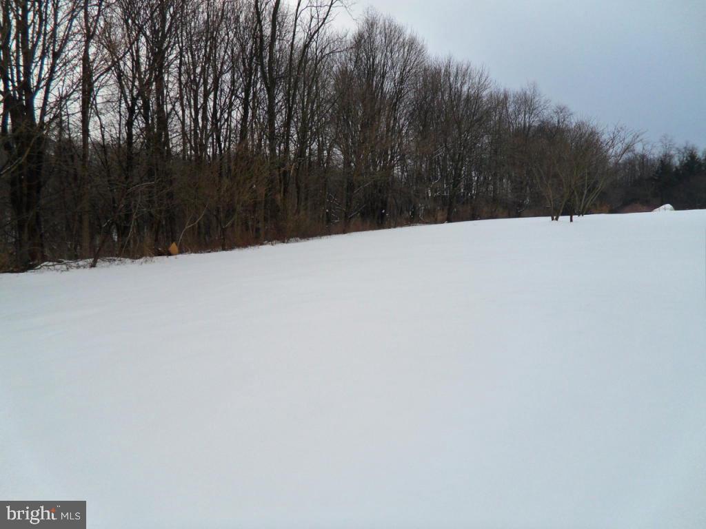 748 Hopeland Road Lititz, PA 17543 - Photo 25 of 26 a view of a snow in a yard