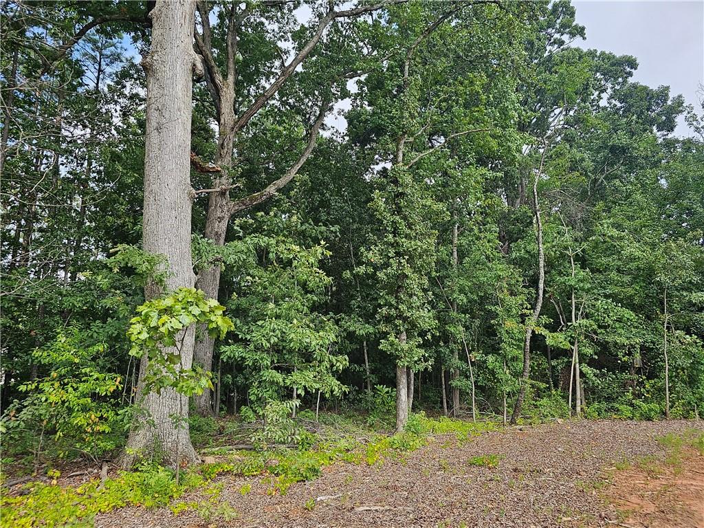 2551 Panola Road Decatur, GA 30035 - Photo 5 of 12 a view of a tree in a yard