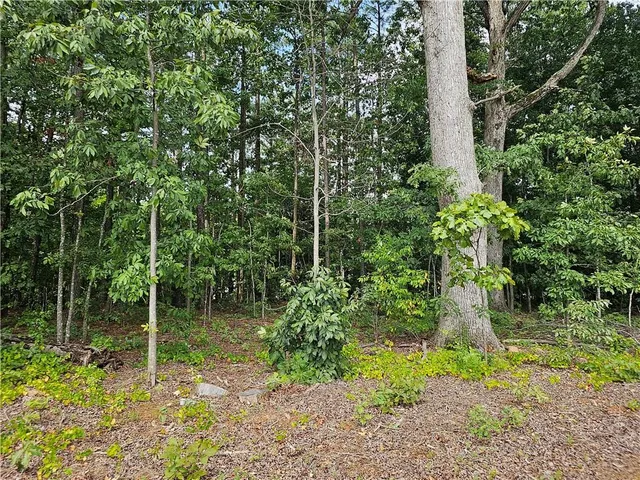 a backyard of a house with lots of green space