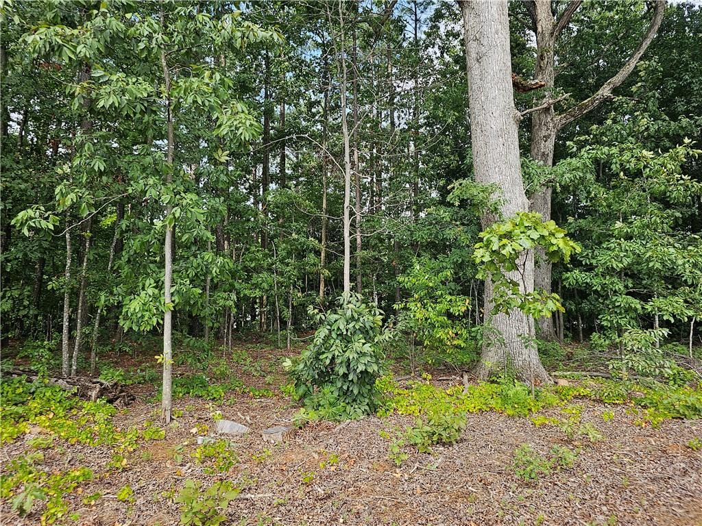2551 Panola Road Decatur, GA 30035 - Photo 7 of 12 a backyard of a house with lots of green space