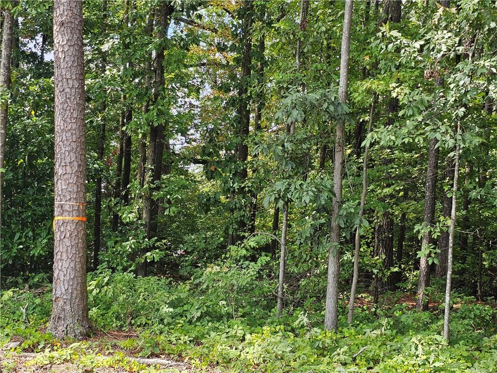 2551 Panola Road Decatur, GA 30035 - Photo 8 of 12 a view of forest