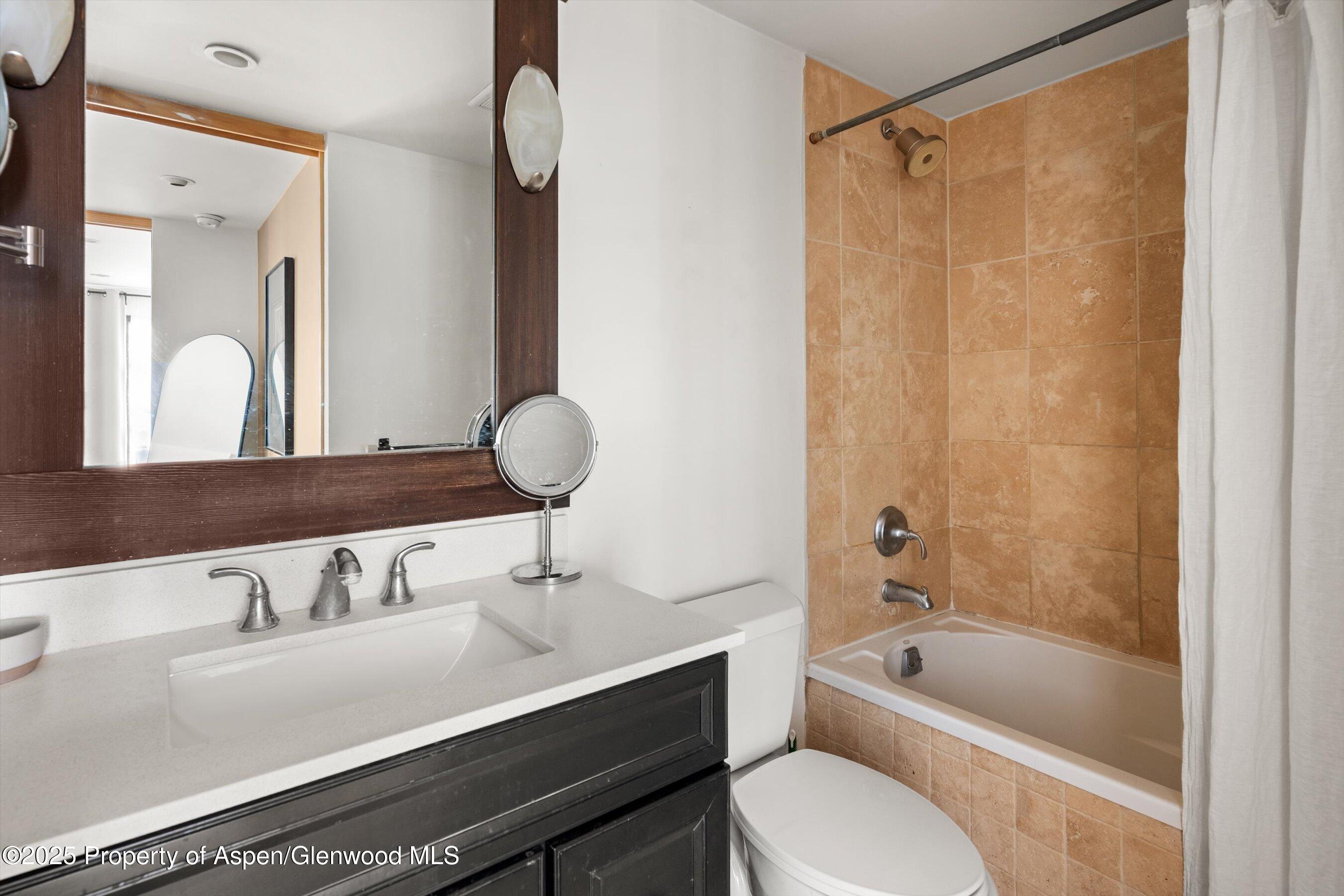 935 East Hopkins Avenue, Unit 7 Aspen, CO 81611 - Photo 15 of 17 a bathroom with a sink toilet a mirror and shower
