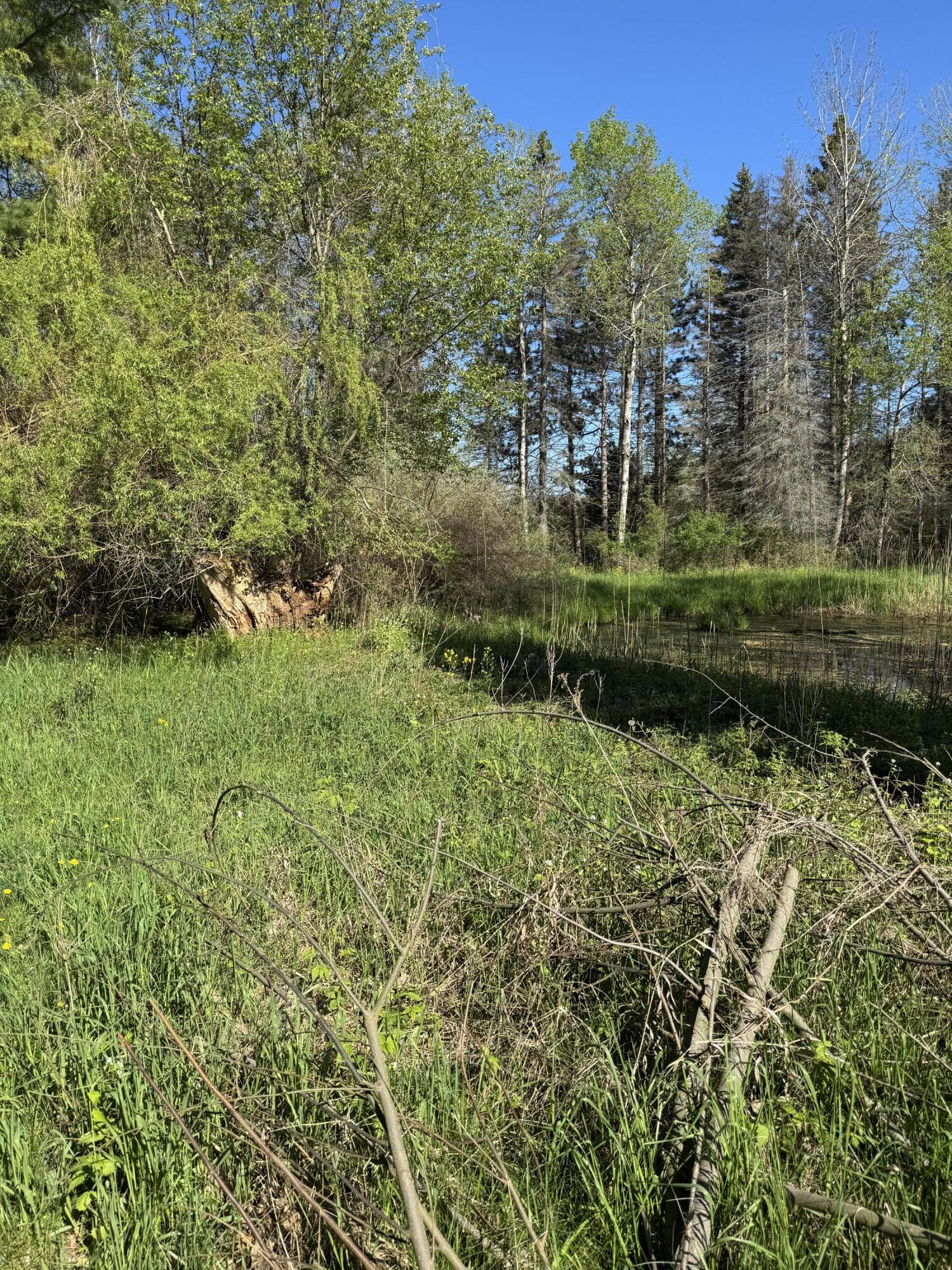 220 East Preuss Road Manistee, MI 49660 - Photo 25 of 28 Pond