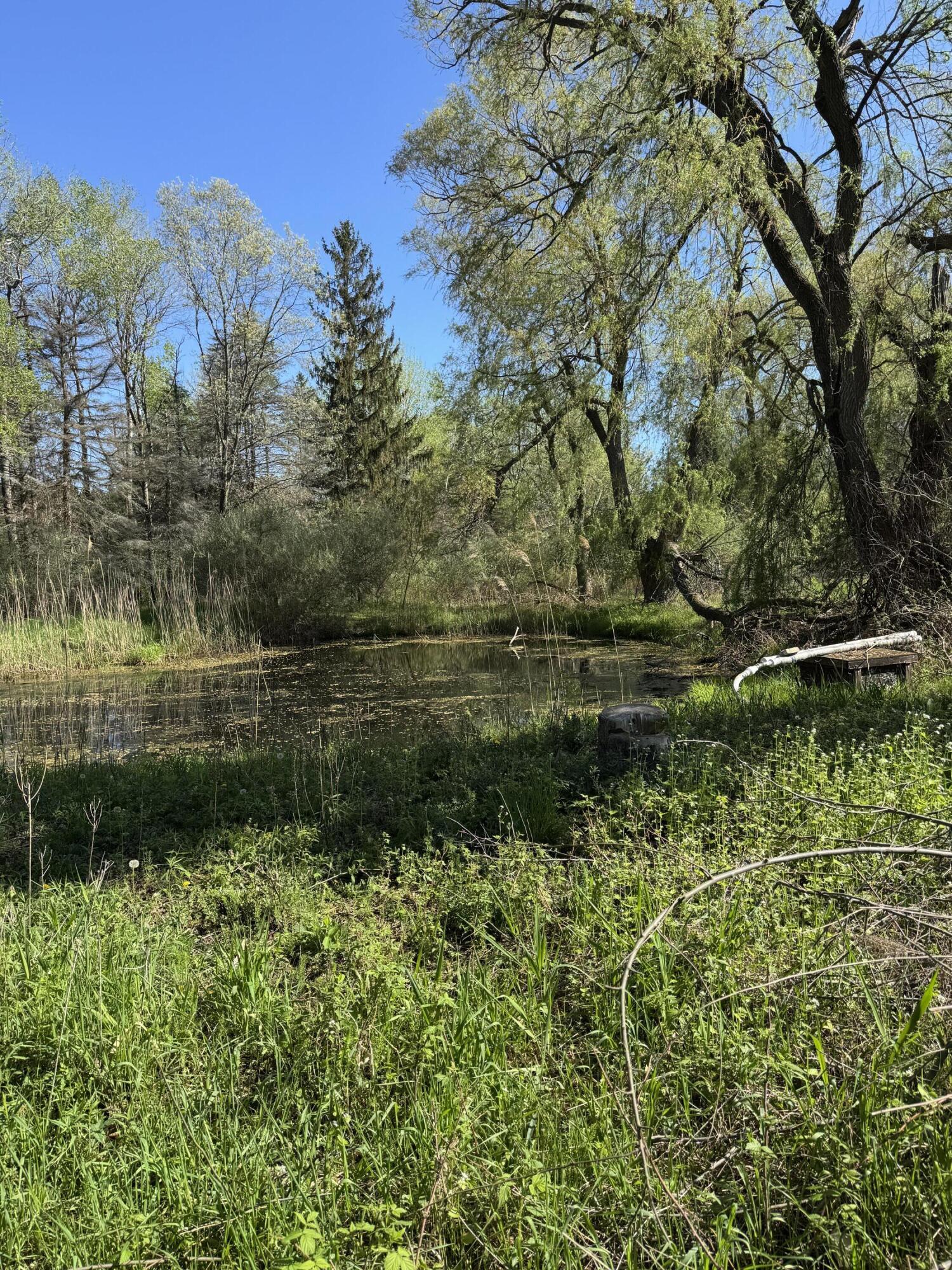 220 East Preuss Road Manistee, MI 49660 - Photo 26 of 28 Pond
