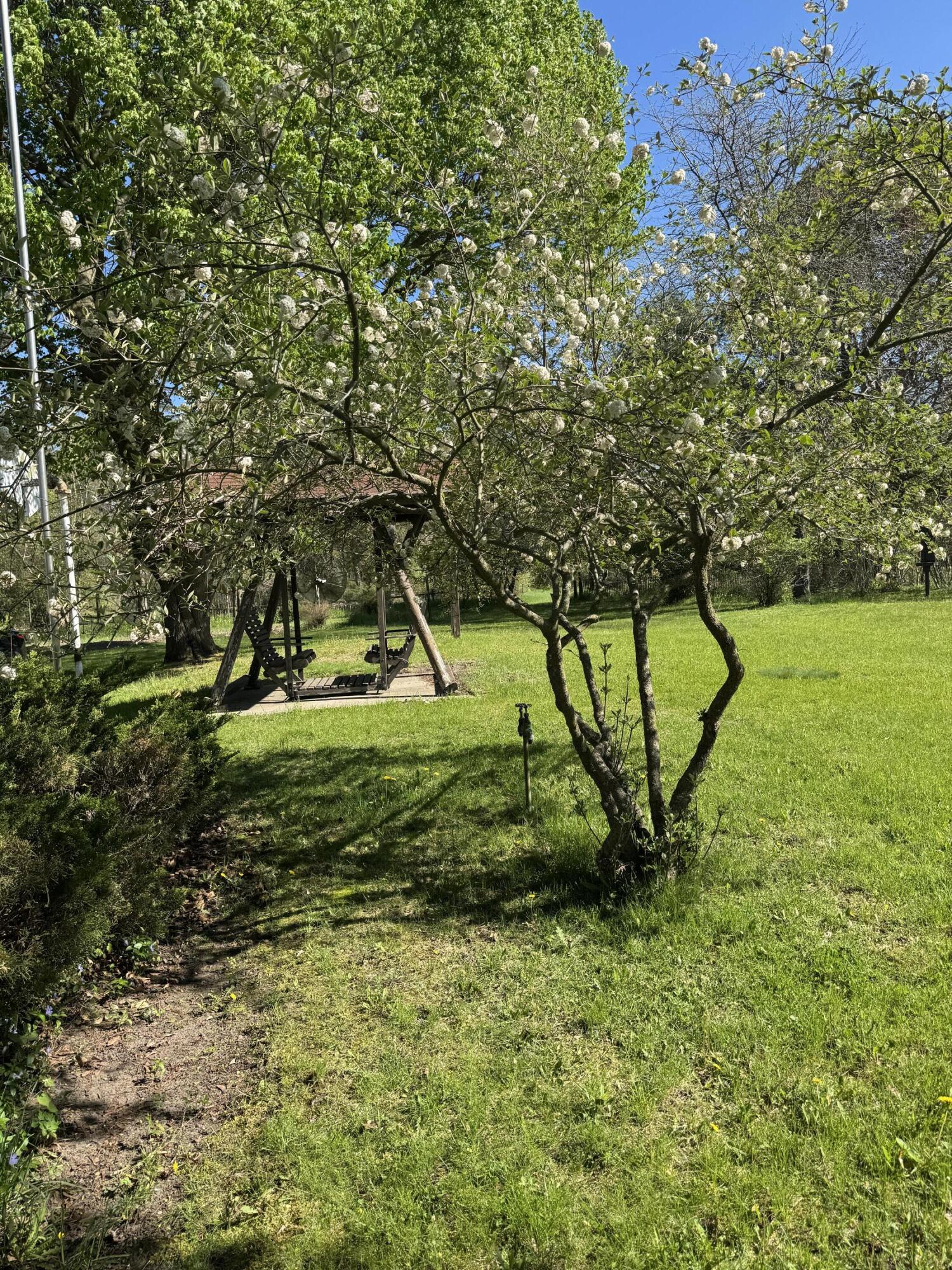 220 East Preuss Road Manistee, MI 49660 - Photo 28 of 28 East Yard