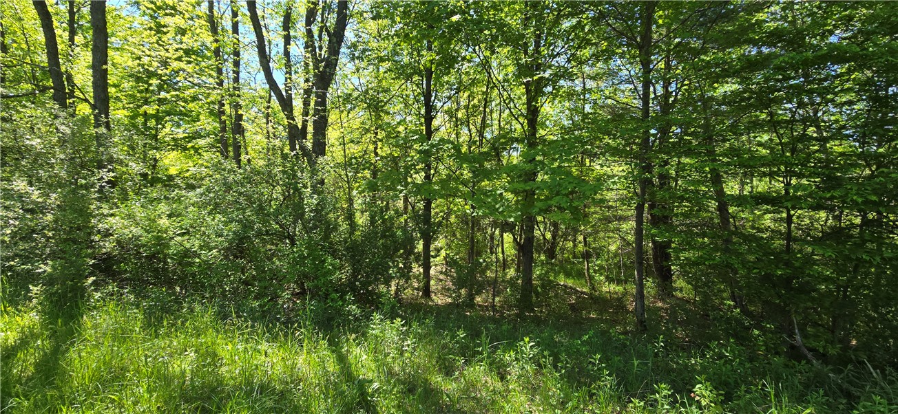 324 Murphy Hill Road Catlin, NY 14845 - Photo 23 of 47