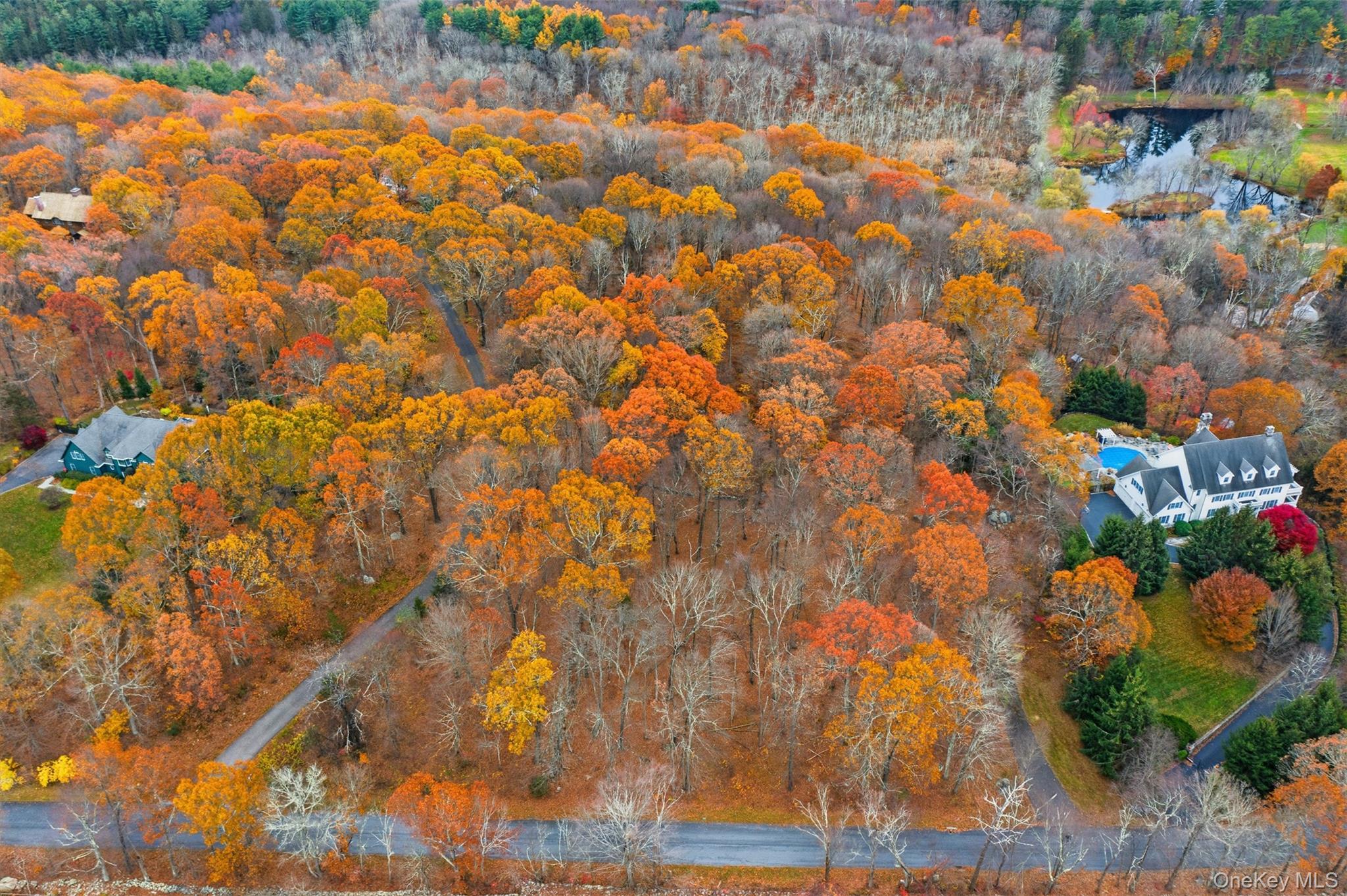 17 Spring House Road Pound Ridge, NY 10576 - Photo 2 of 3 a backyard of a house