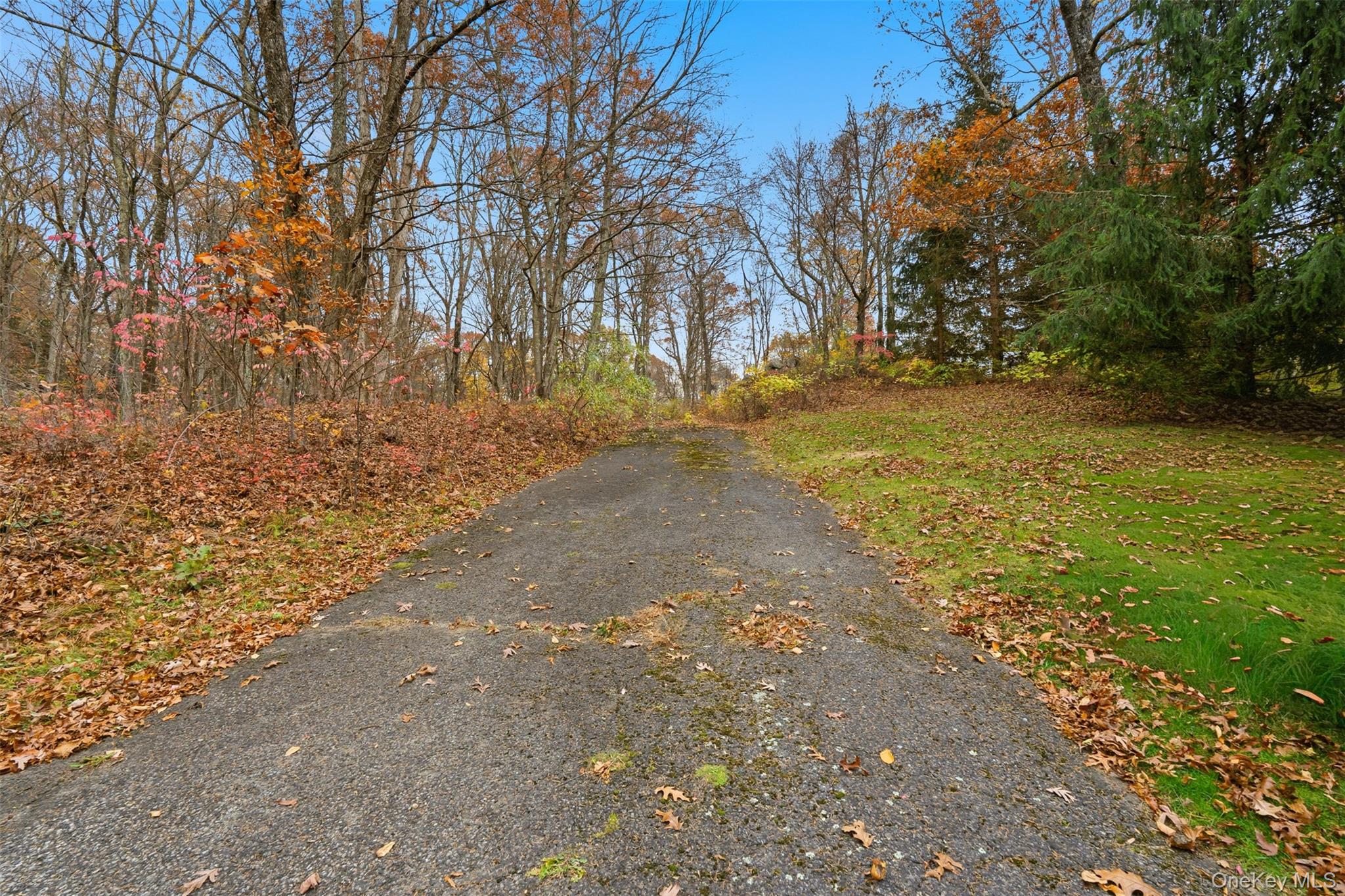 17 Spring House Road Pound Ridge, NY 10576 - Photo 3 of 3 a view of yard with trees