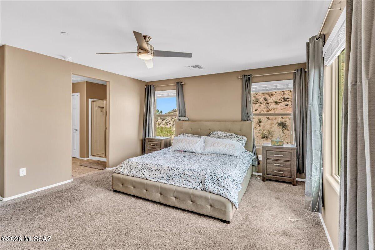38897 South Running Roses Lane Tucson, AZ 85739 - Photo 25 of 43 36-DSC02974