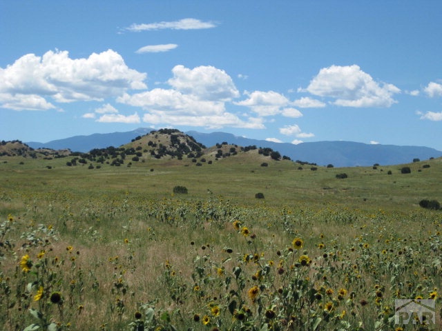 20 Salt Creek Road Pueblo, CO 81004 - Photo 1 of 1 Gallery Image 1