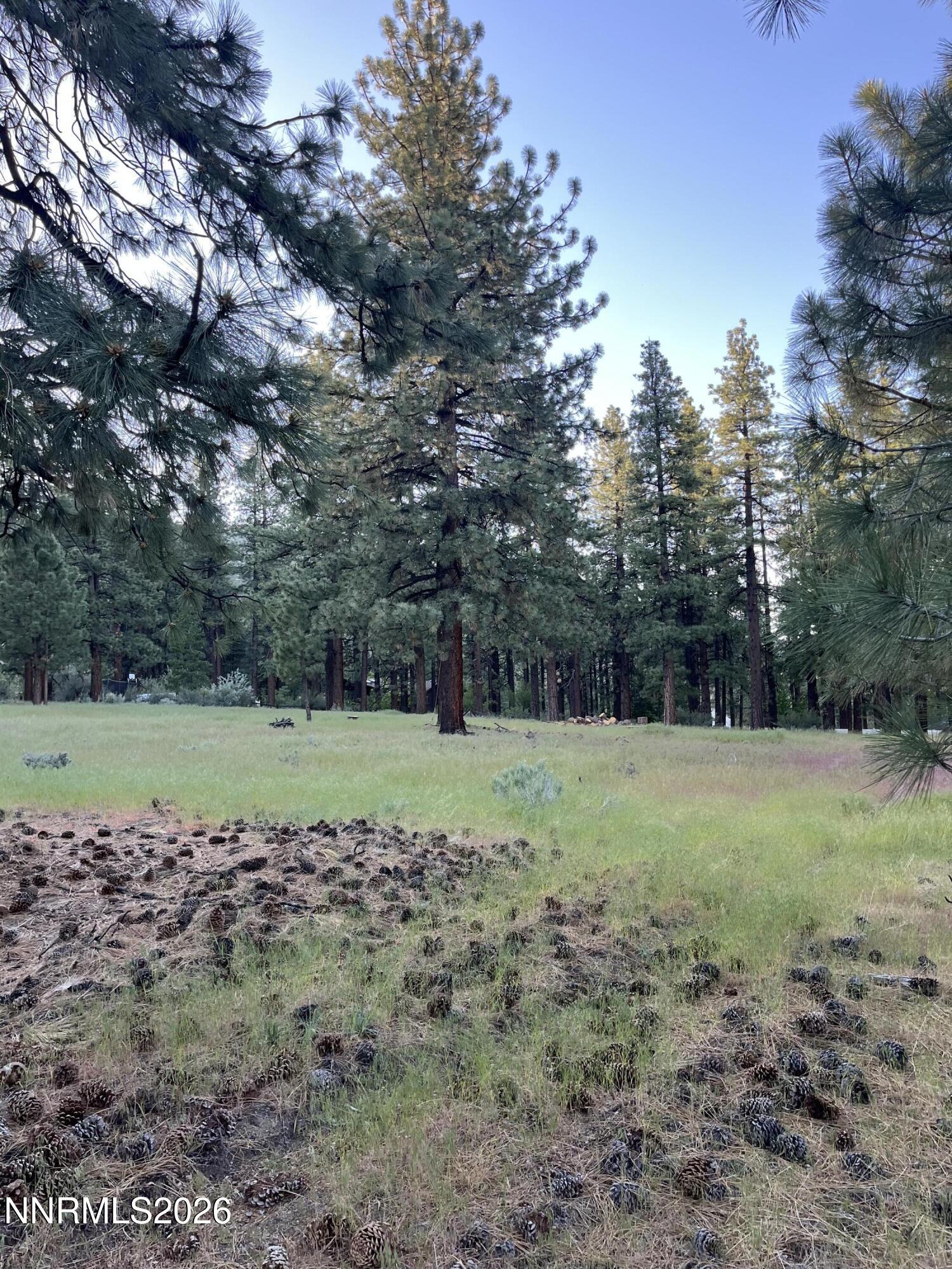 4300 Meadow Wood Road Carson City, NV 89703 - Photo 10 of 15 a view of outdoor space with trees