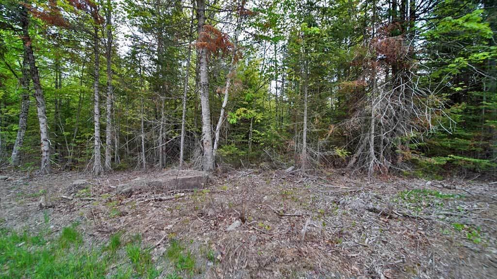 Lot 18 Monument Road Amity, ME 04471 - Photo 16 of 29 18-b-monument-rd-amity-4