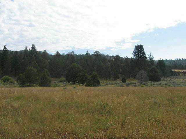 0 Yellow Jacket Springs Beatty, OR 97621 - Photo 1 of 4 Primary Photo