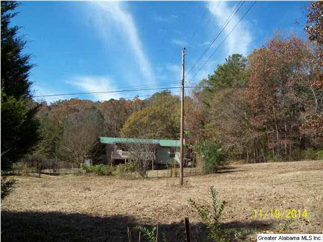 4121 Sand Valley Road Remlap, AL 35133 - Photo 2 of 3