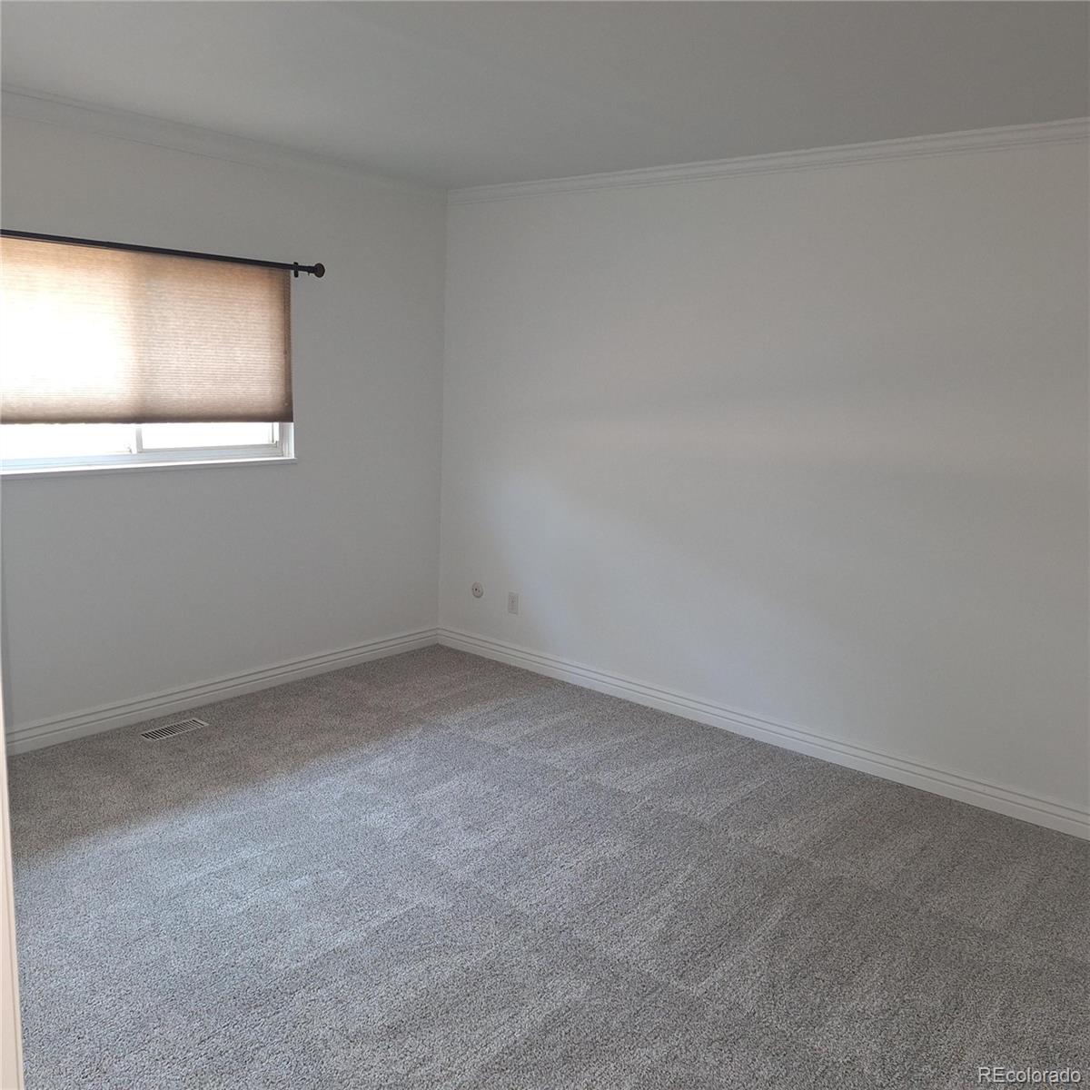 11466 North Hot Springs Drive Parker, CO 80138 - Photo 11 of 24