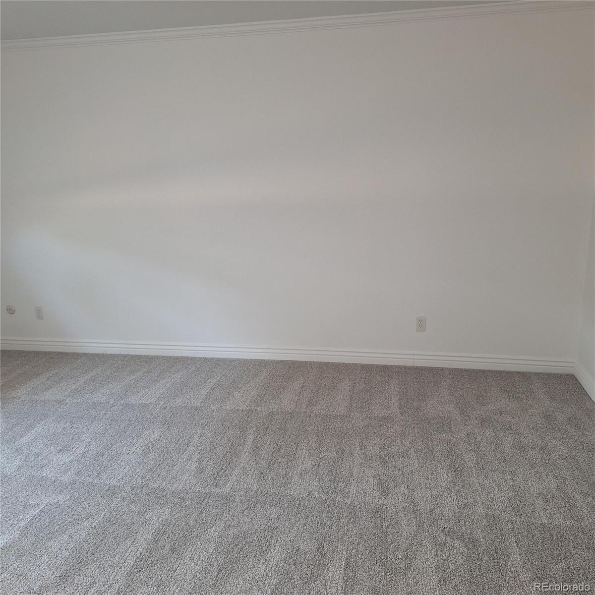 11466 North Hot Springs Drive Parker, CO 80138 - Photo 12 of 24