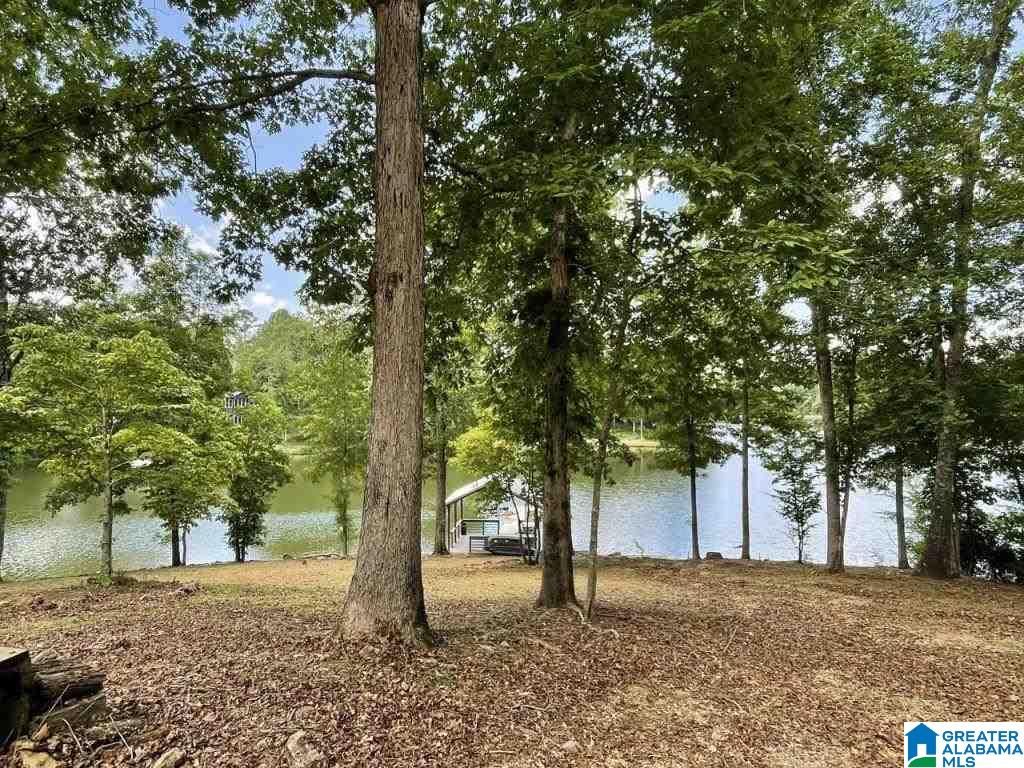 99 River Point Road Lineville, AL 36266 - Photo 3 of 27