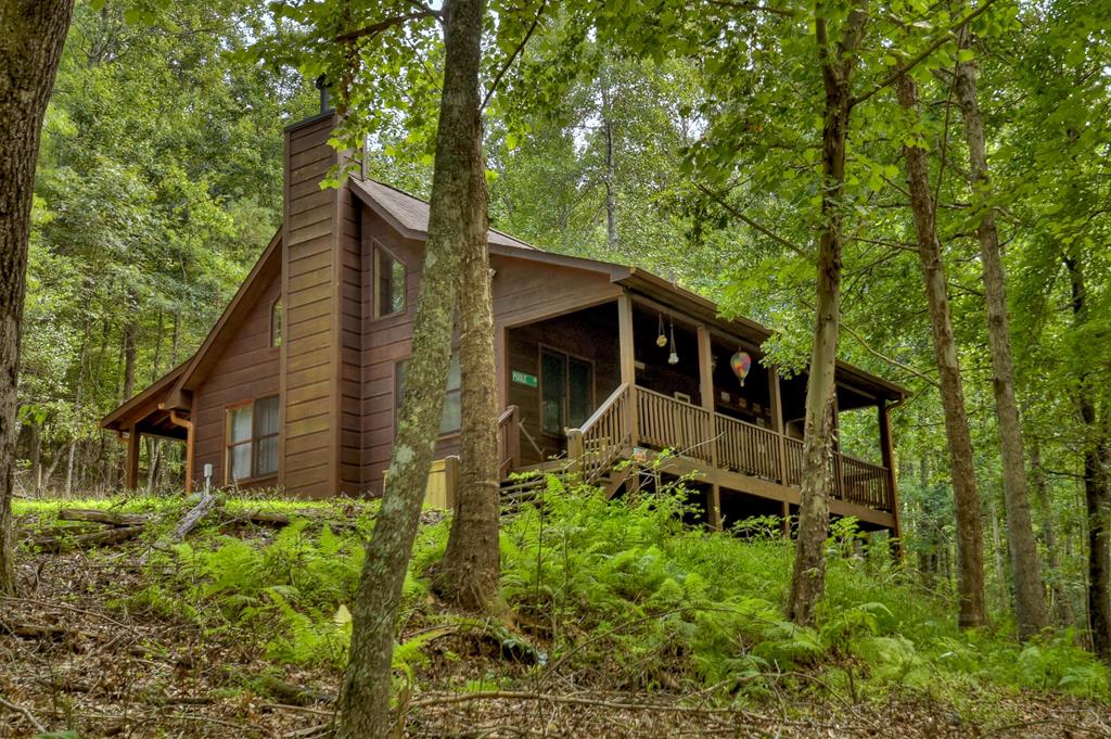 170 Spring Creek Road Blue Ridge, GA 30513 - Photo 1 of 29 Main View
