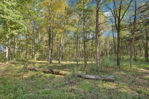 $675,000 | 4705 Wildberry Lane, Chapel Hill, TN 37034