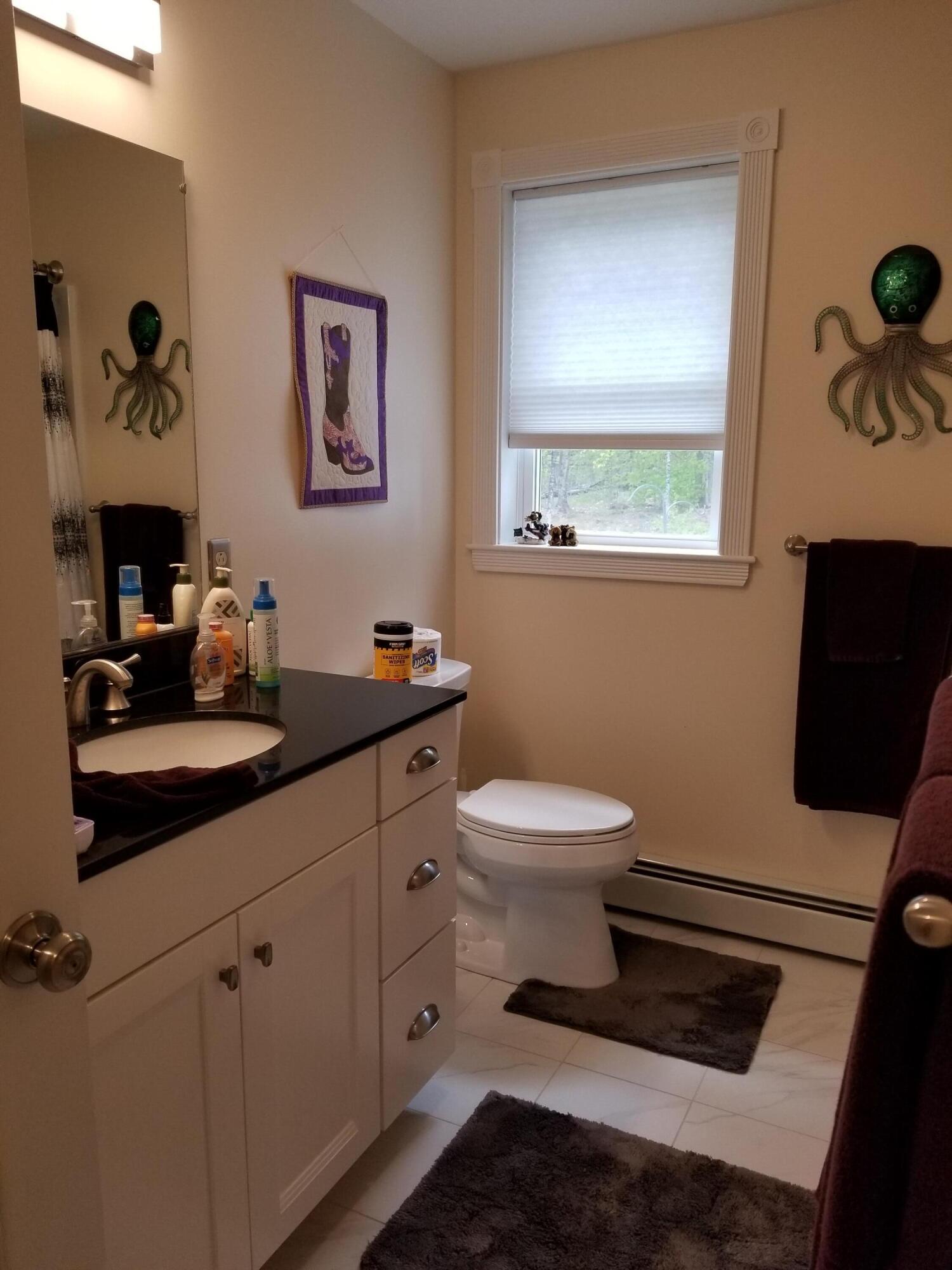 54 Richard Road Sidney, ME 04330 - Photo 10 of 25 20210512_111512