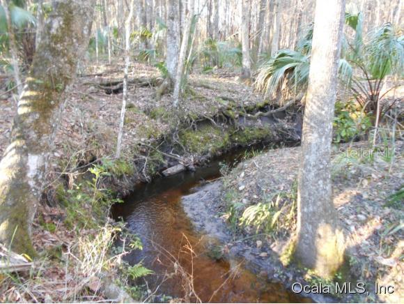 0 Northwest 91st Court Road Micanopy, FL 32667 - Photo 1 of 1 Primary Photo