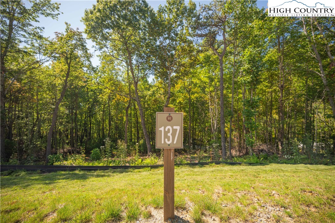 Lot 137 Angelfire Trail Deep Gap, NC 28618 - Photo 13 of 27 a view of a swimming pool with a yard