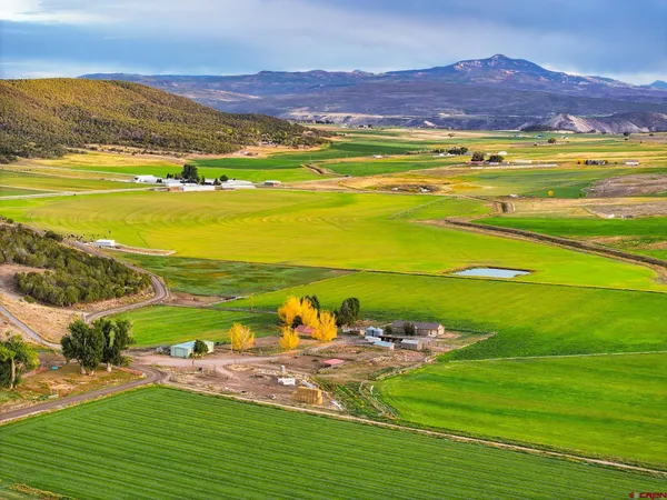 $1,750,000 | 10203 Bostwick Park Road, Montrose, CO 81401