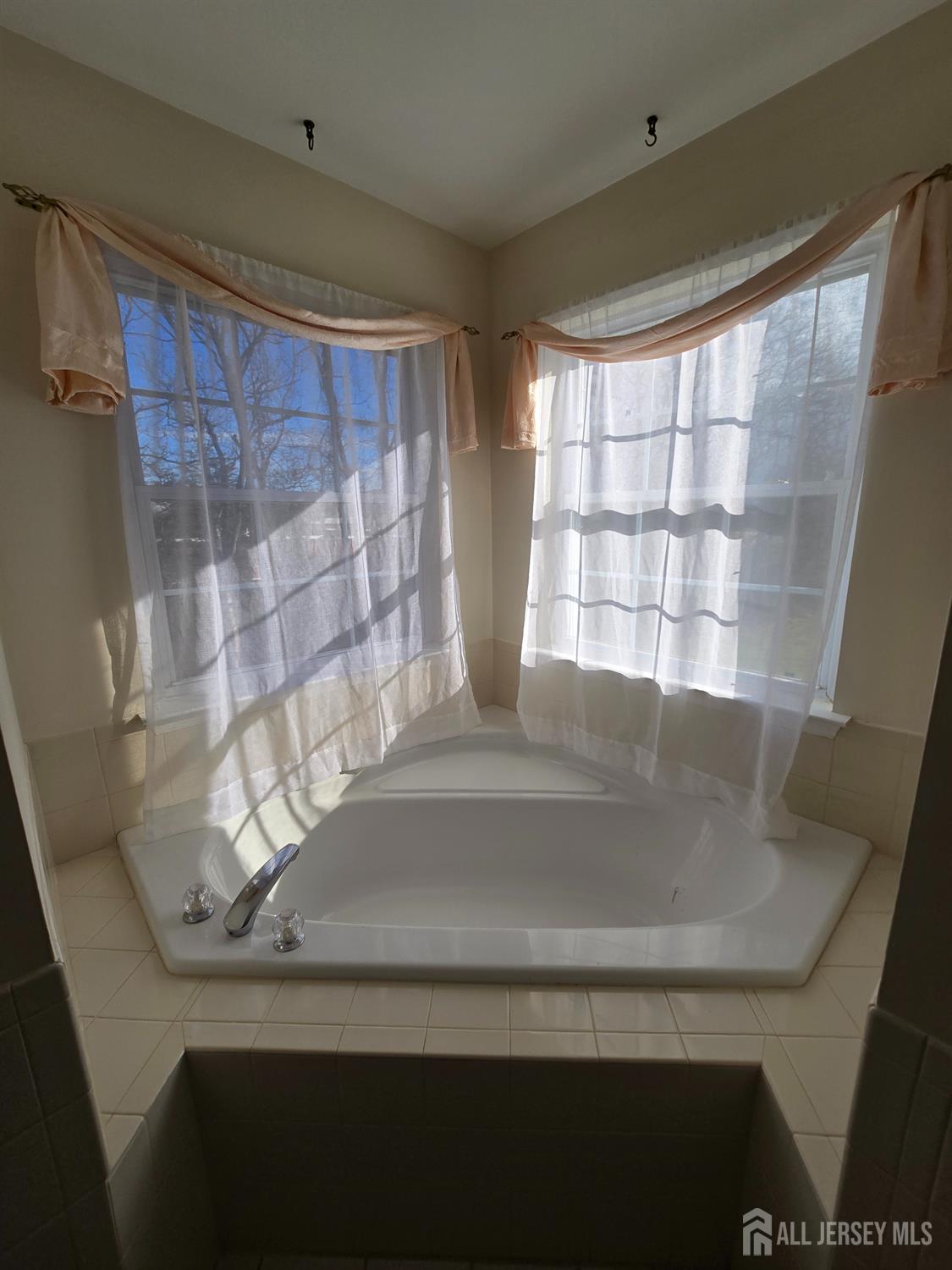 40 Potomac Road Monmouth Junction, NJ 08852 - Photo 29 of 48 a close view of sink