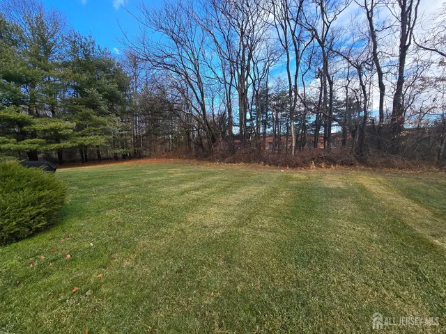 a view of yard with trees