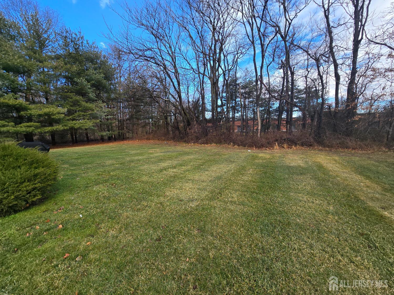 40 Potomac Road Monmouth Junction, NJ 08852 - Photo 46 of 48 a view of yard with trees