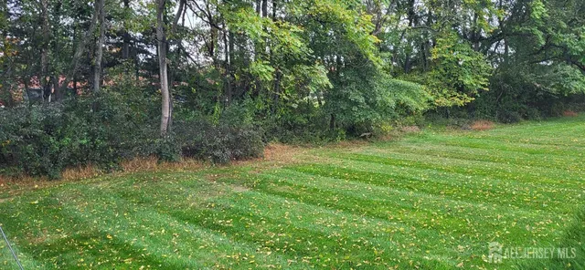 a big yard with lots of green space and deers