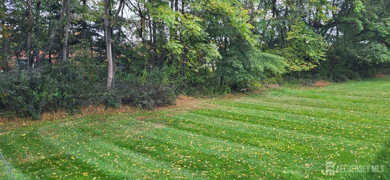 40 Potomac Road Monmouth Junction, NJ 08852 - Photo 47 of 48 a big yard with lots of green space and deers